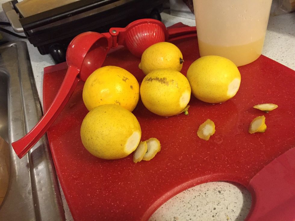Cut the lemon nibs for them to fit nicely into the press.
