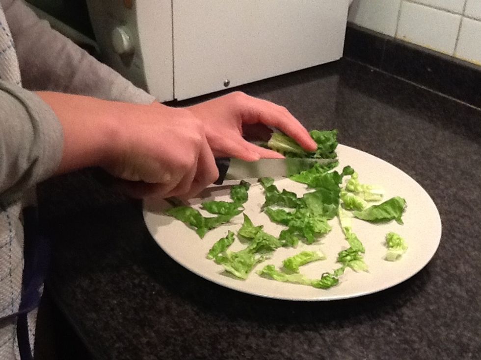 Cut the lettuce into little pieces.