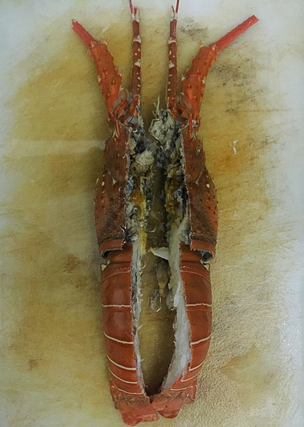 Cut the lobster from head to tail in to two halves