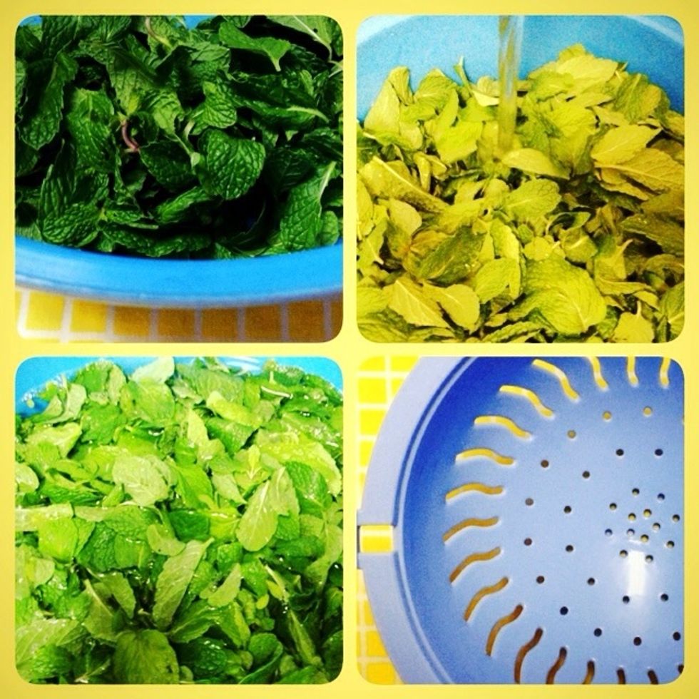 Cut the mints, put them in the plastic bowl, then wash the mints with water to clean them \ud83c\udf43\ud83d\udca6. Put the mints in the colander to dry it from water.
