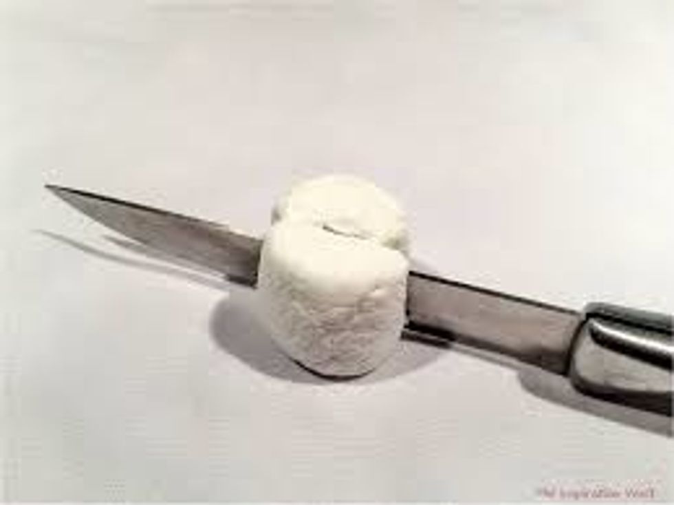 cut the morshmelo in haff and cut a litle bit out of senter.