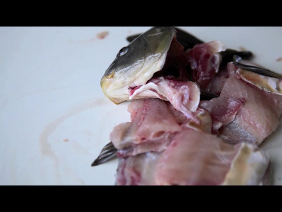 Cut the remaining fish into steaks ...