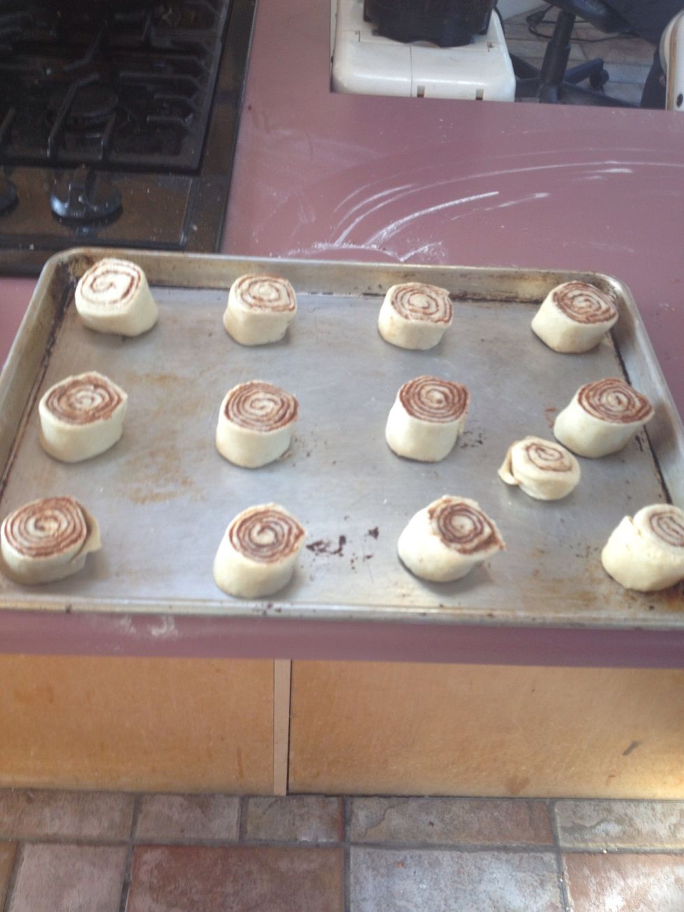Cut the rolls you can get up to 16 rolls depending on how big of pieces you cut. Place them into your preheated oven for ten to fifteen minutes.