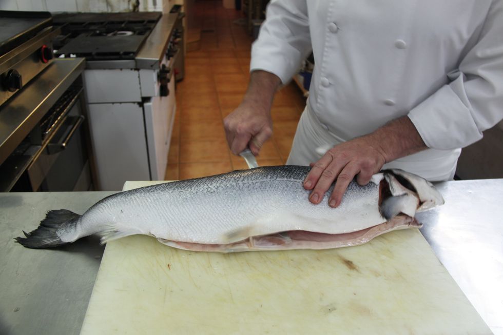 CUT THE SALMON INTO TWO HALVES