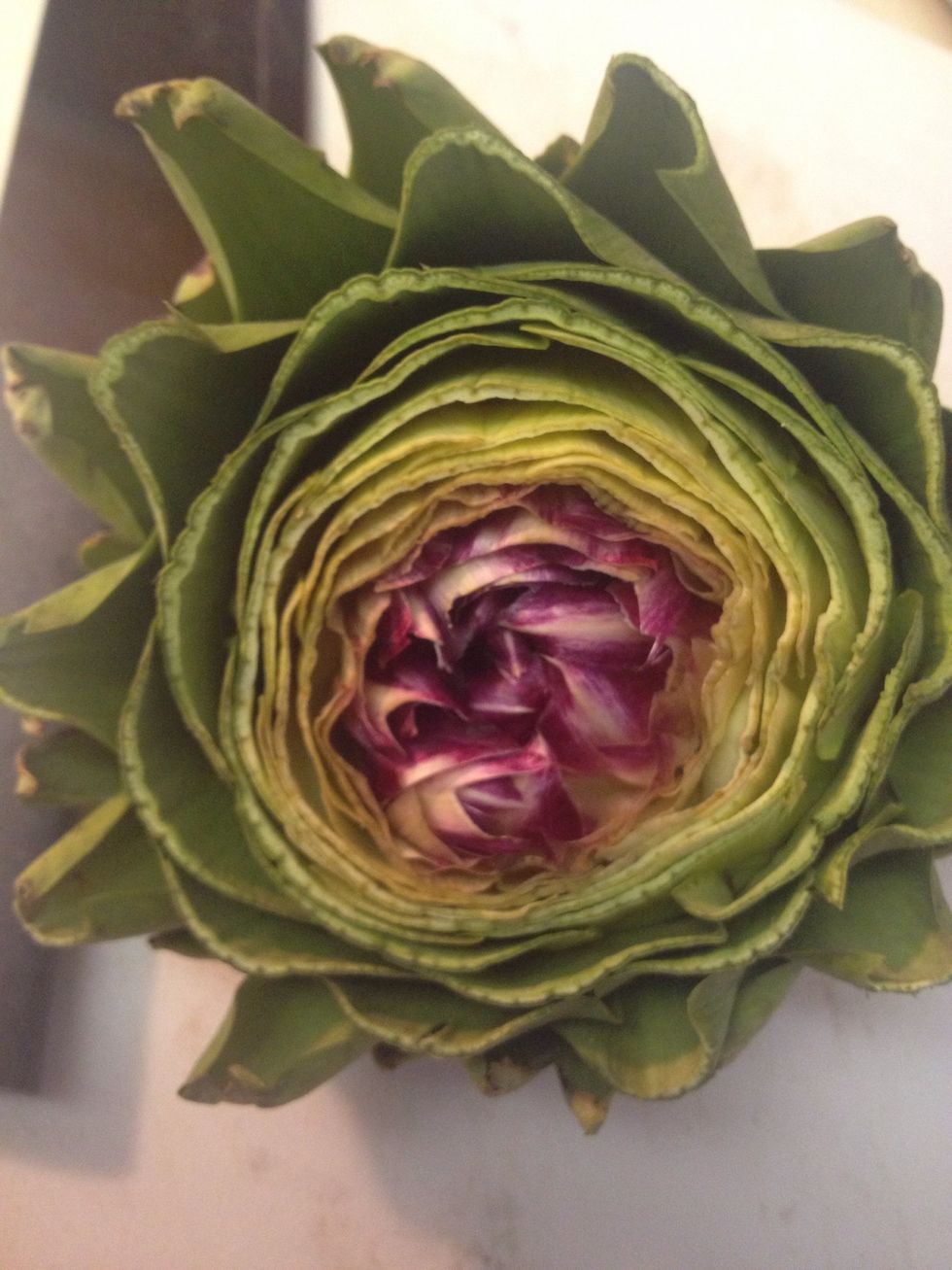 Cut the top of the artichoke off as well.