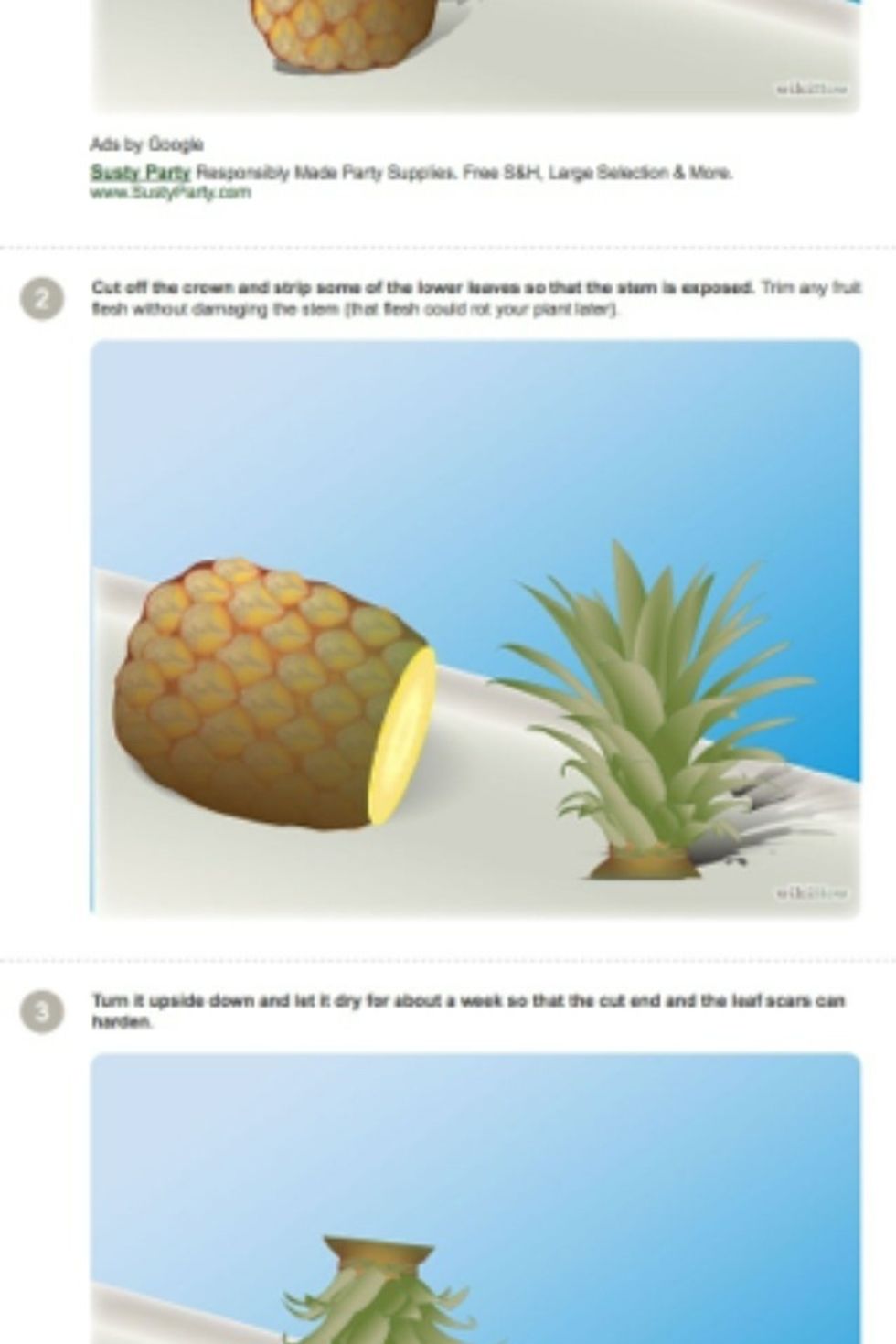 Cut the top of the pineapple off making sure to not cut too close to the crown (the part you are cutting off)