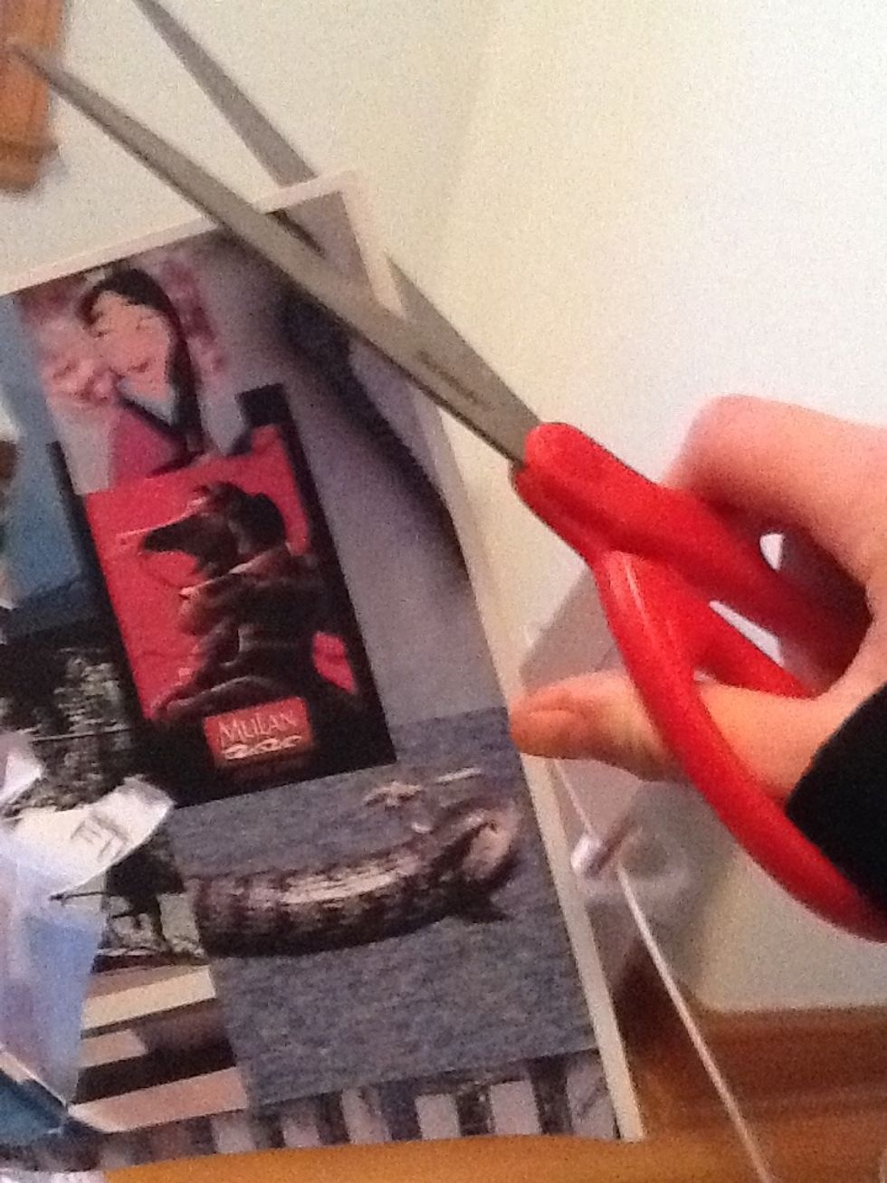 Cut them out