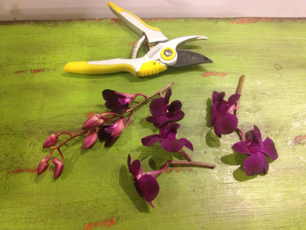 Cut third stem in portions, so you are left with at least three pieces: one or two blooms on two and one with buds in tact.