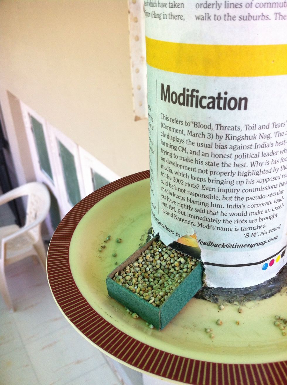 Cut through the bottom of the can and insert the matchbox halfway. Fill the whole can with grain and tie it up in the backyard where there isn't much human activity. Keep away from cat's reach.