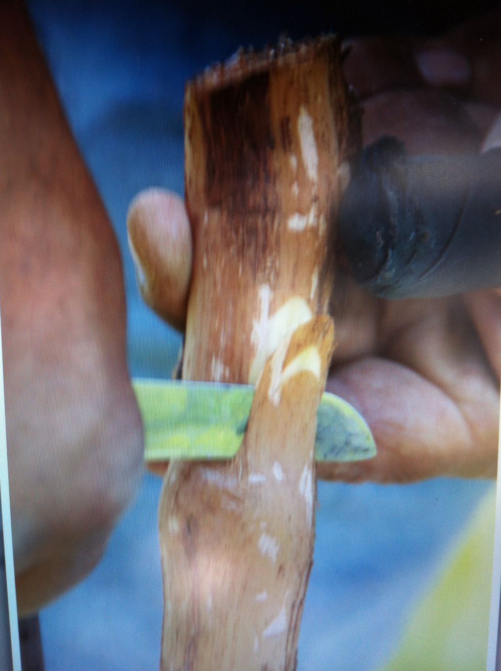 Cut two notches in the trunk