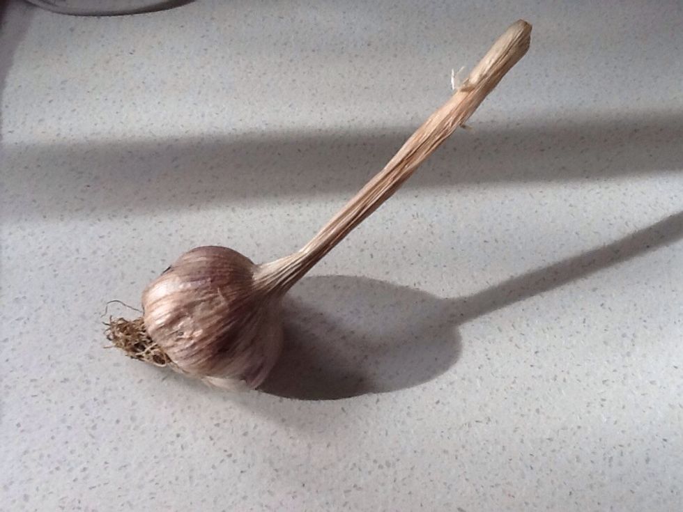 Cut up 1 clove of garlic and put it on the base