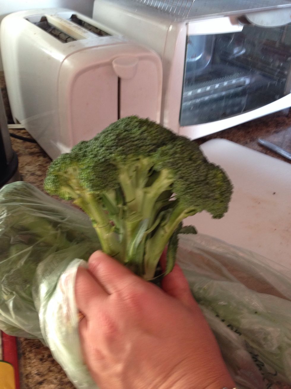 Cut up and cook your broccoli. (I choose to steam mine)