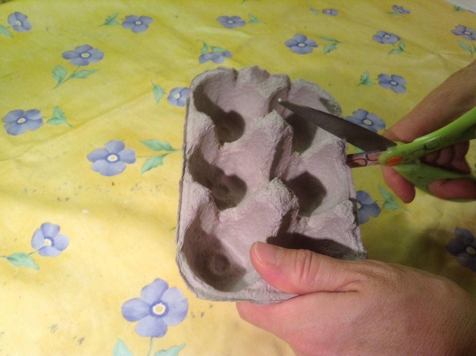 Cut with scissors or tear with fingers each egg nest.