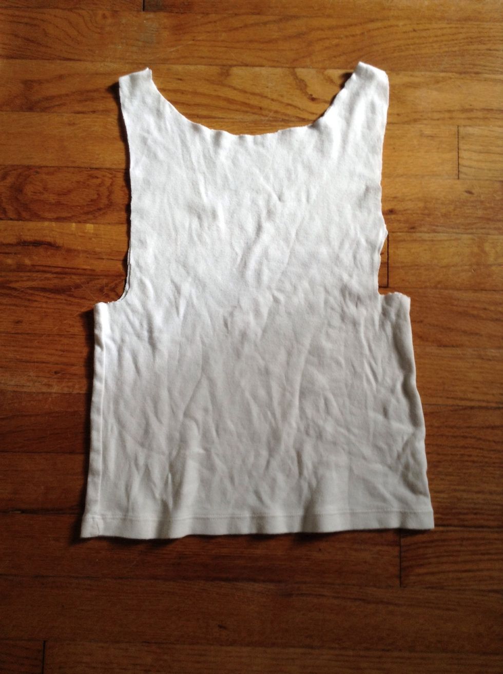Cut your shirt so it looks something like this.