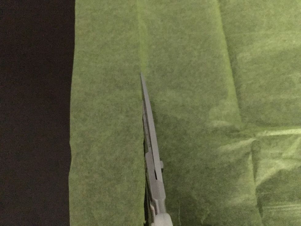 Cut your tissue paper into strips