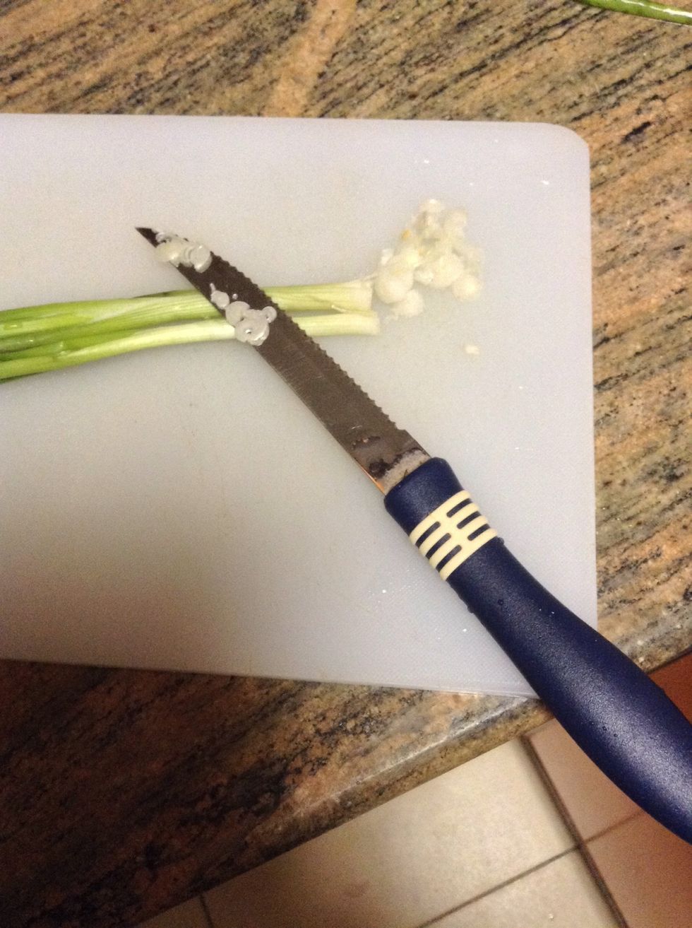 Cute your green onions vey thin ..