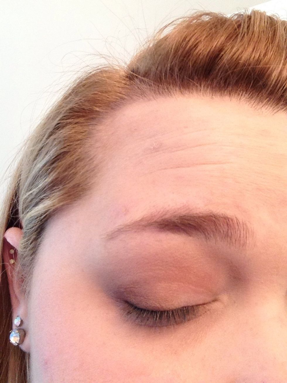 Dark brown close up.
