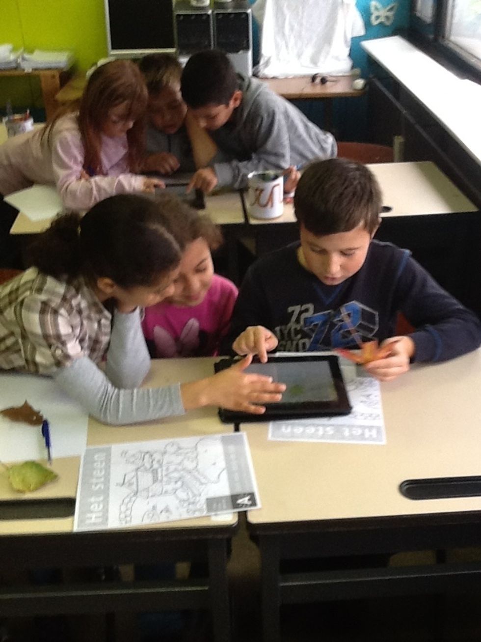 Dat is een rood blad