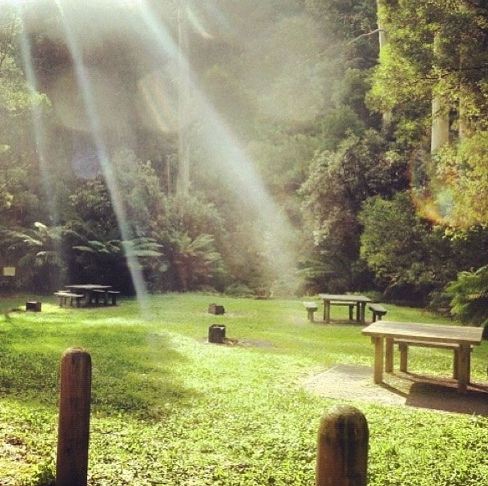 Day 3: Head towards Prince town and have a meal in Otway National Park.