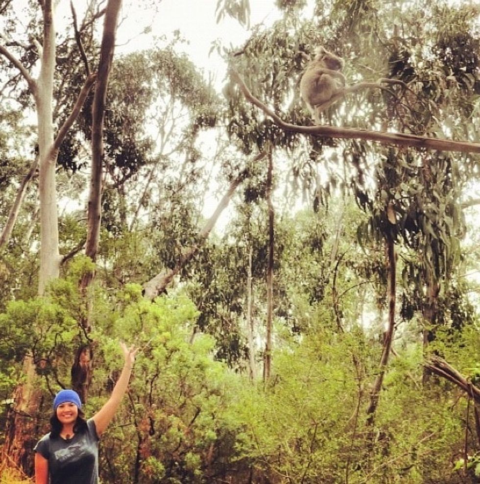 Day 4: on route back to Melbourne visit the Cape Otway lighthouse. The road there and back you'll see Koala Bears, Kangaroos, and Kookaburra.