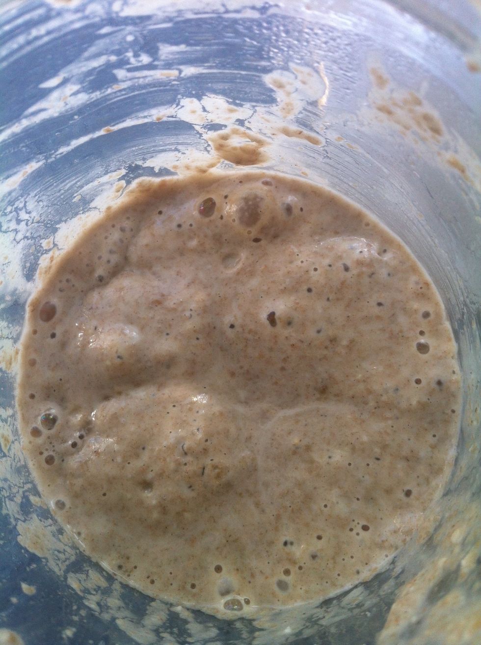 Day 4 - The sun has come out & things have started moving again. I didn't feed it this morning as it was too cold and nothing was going on, it's now bubbling well. Tomorrow on to the next stage.