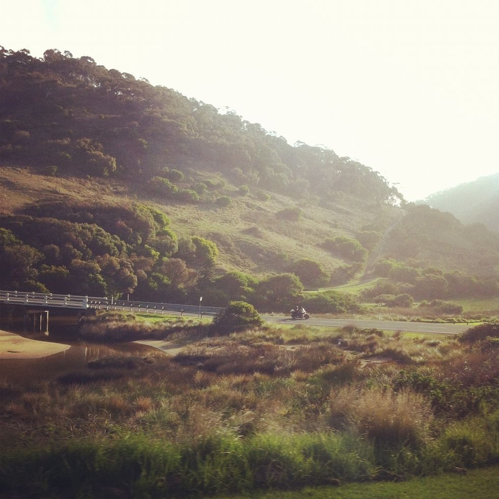 Day1: Stay the night just outside of Lorne at Cumberland Campsite. Pick a site near the river. Buy firewood and make a fire here. It's a rare thing in Victoria to be allowed to have a fire.