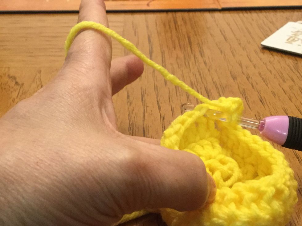 DC in top of next DC. Then insert hook through to of next DC and grab yarn.