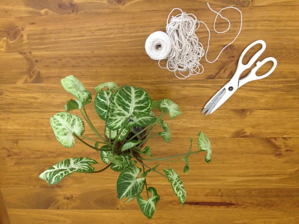 Decide how long you want your macram\u00e9 to hang and then cut 6 pieces of string or rope at 2.5 times that length. For example, if you want it to hang about 60cm, cut the string into 1.5-metre lengths.