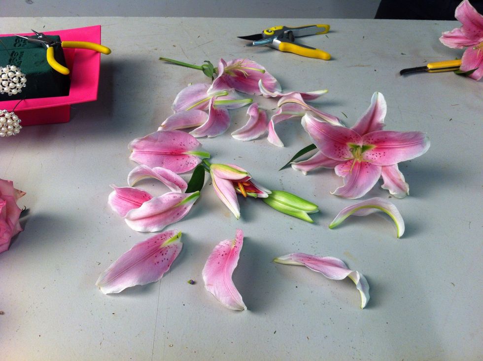 Deconstruct 5 lilies and keep one lily bud.