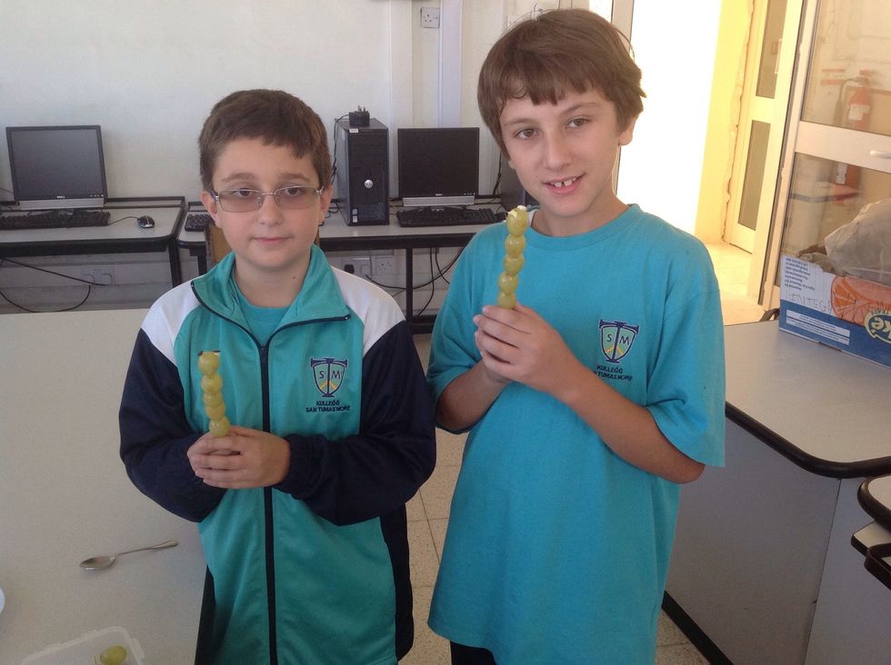 Decorate the top grape with eyes and nose. We used raisins.