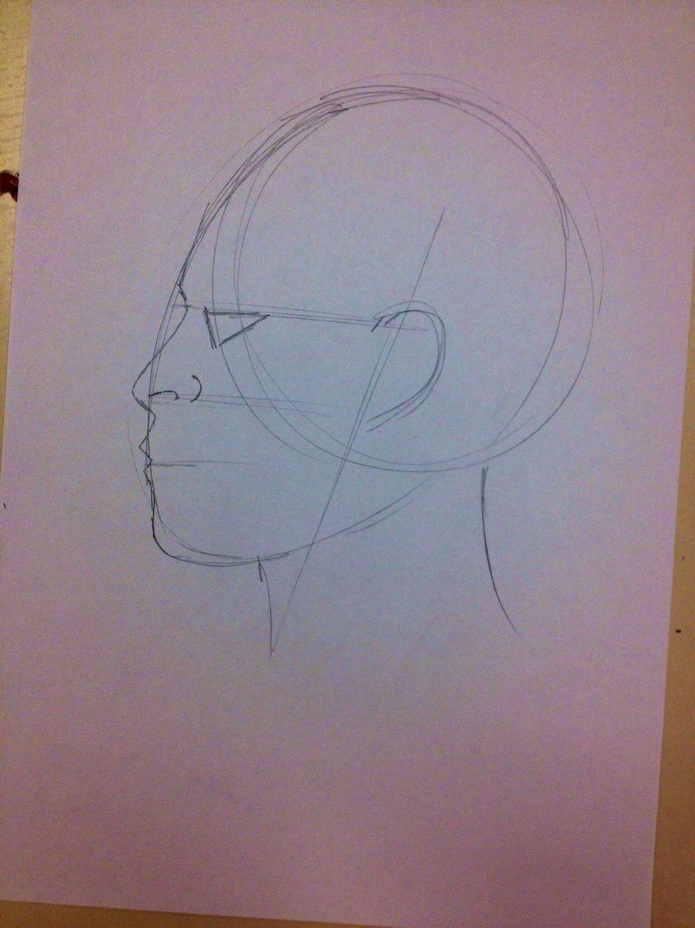 Define the side of the nose.
