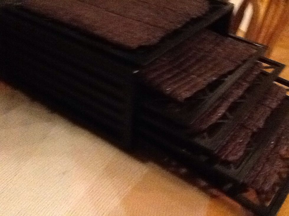 Dehydrated ground beef jerky.