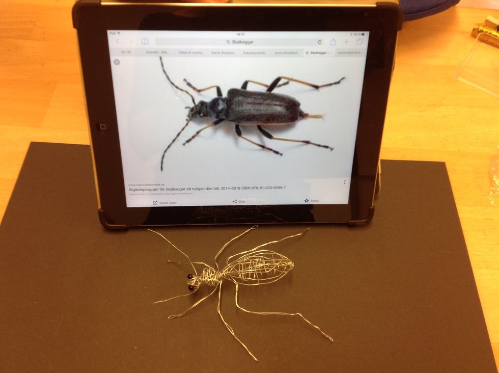 Dekorera din insekt med lite f\u00e4rgad metalltr\u00e5d om din insekt har n\u00e5gon f\u00e4rg du vill f\u00f6rst\u00e4rka.