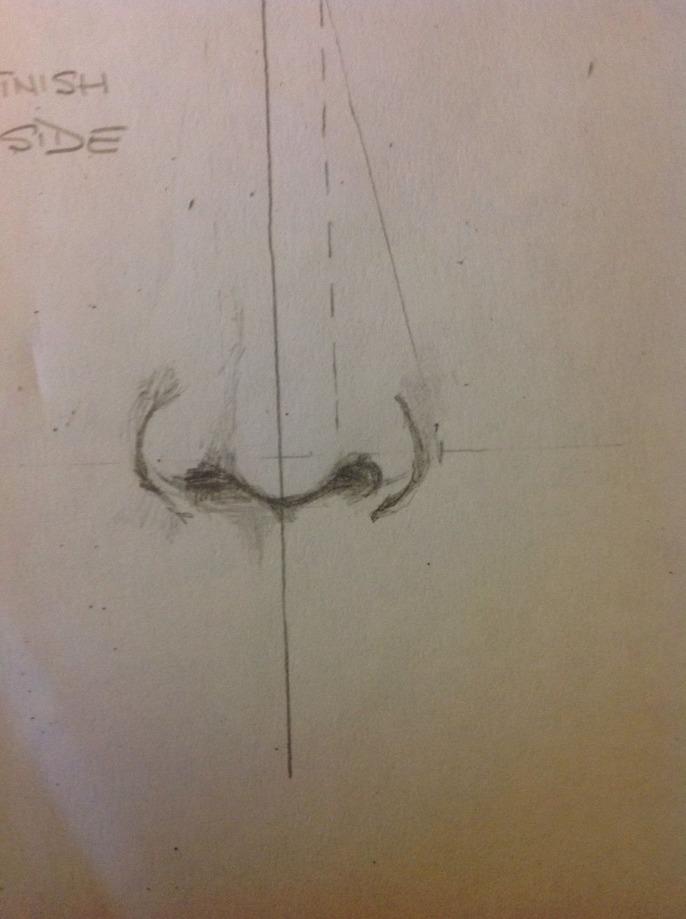 Delate the line that connect the nostril. Draw the shape of the fin of the nose