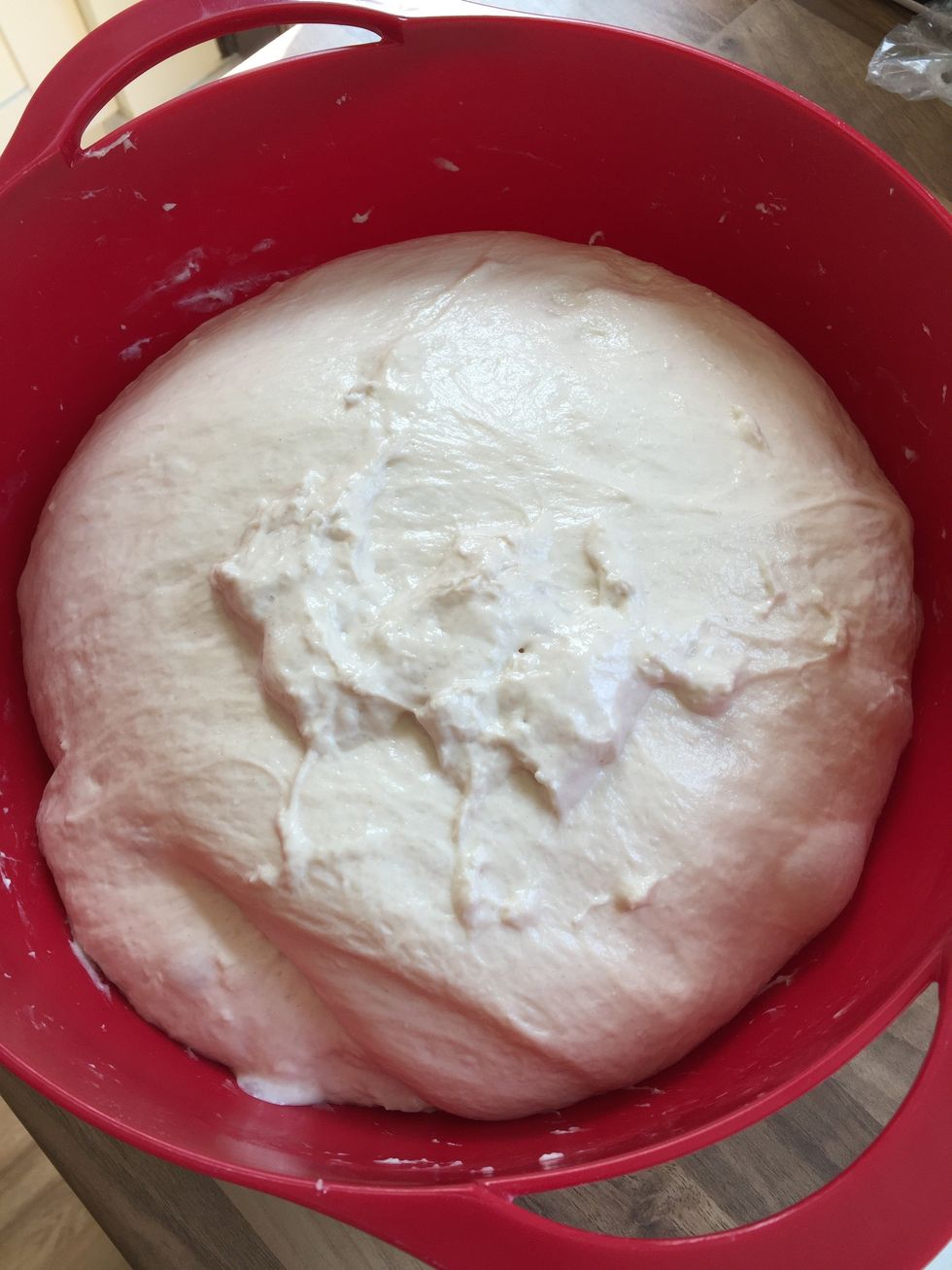 Depending on how long you leave it and how warm it's been, the dough will more than double in size overnight. 'Knock it back' by gently kneading it by hand, it may appear quite 'stringy' underneath.