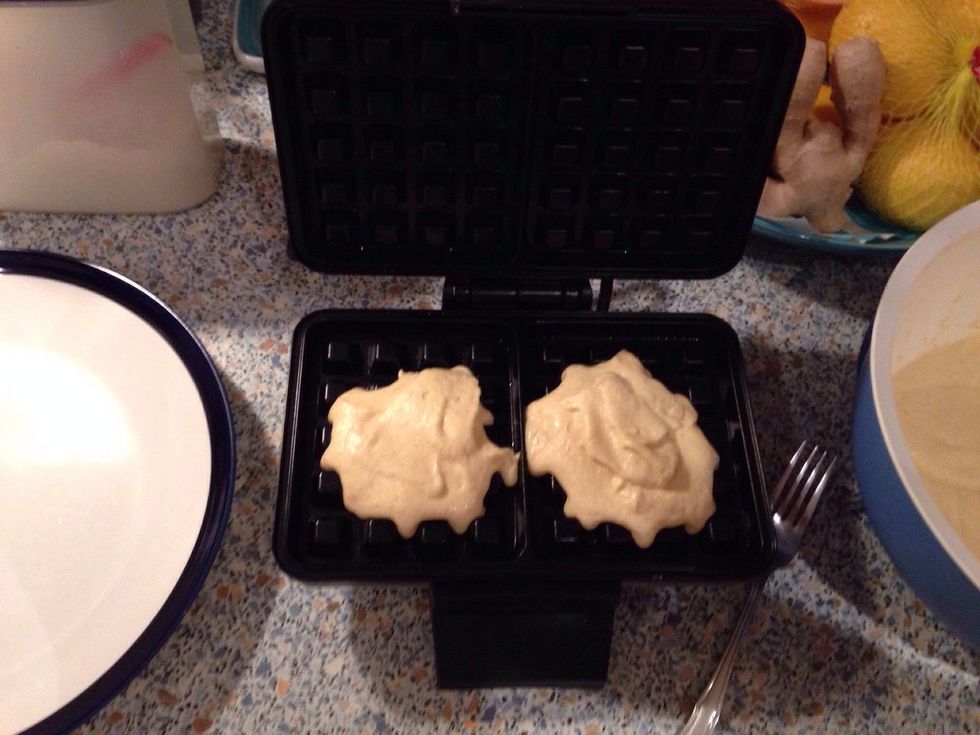 Depending on your kind of waffle maker (I have a Brussel one) pour the needed amount of batter into it, close the lid, remove the waffle when ready. Makes 9-10 waffles.