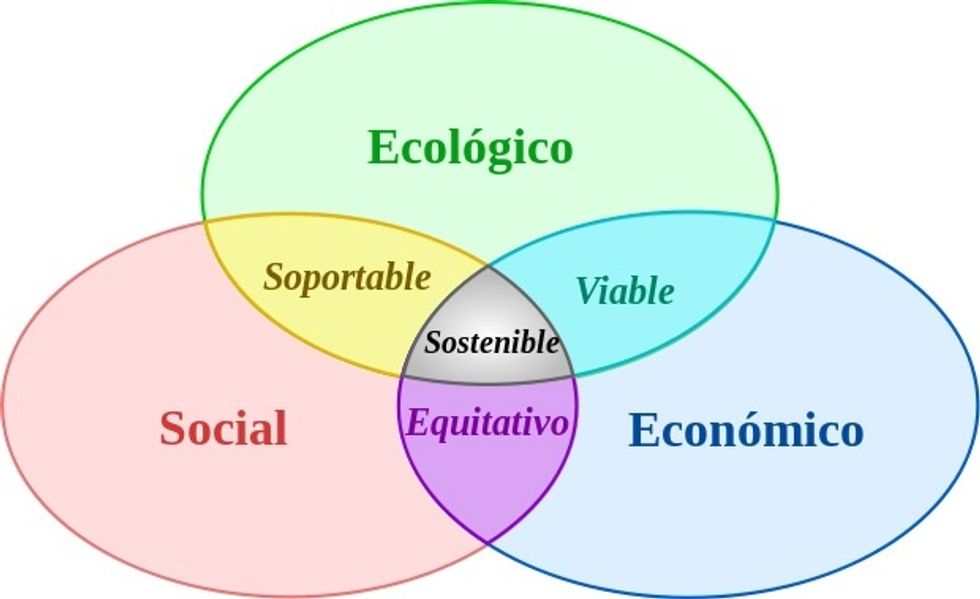 DESARROLLO SUSTENTABLE