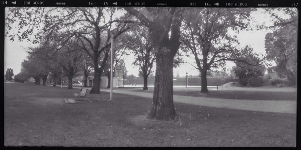 Develop your 120 film, scan images and enjoy the fruits of your labour.