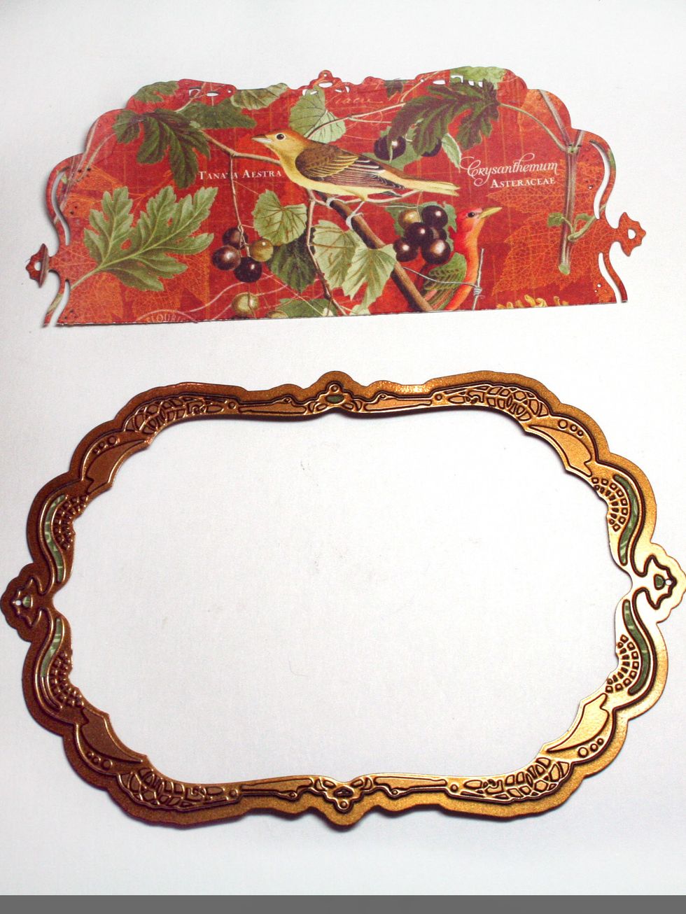 Diecut half of an oval frame. If you don't have a die you could cut a partial circle or oval instead.