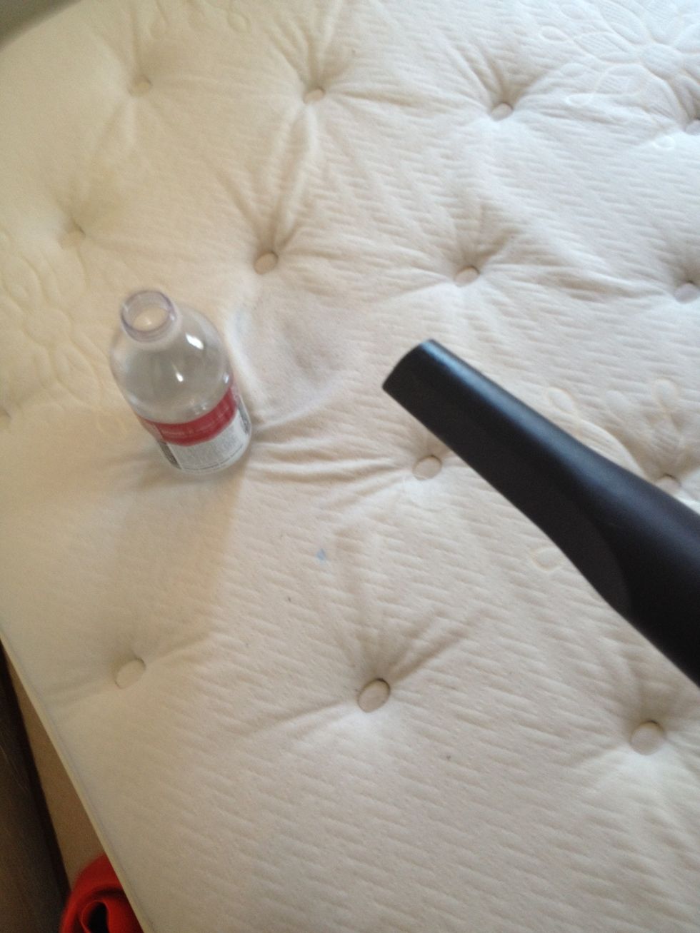 Dilute detergent with water and vacuum rinse and repeat until stain is no more or satisfaction is attained.