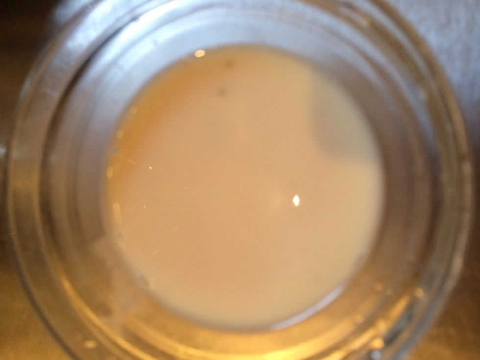 Dilute the yeast in a bit of brine then add