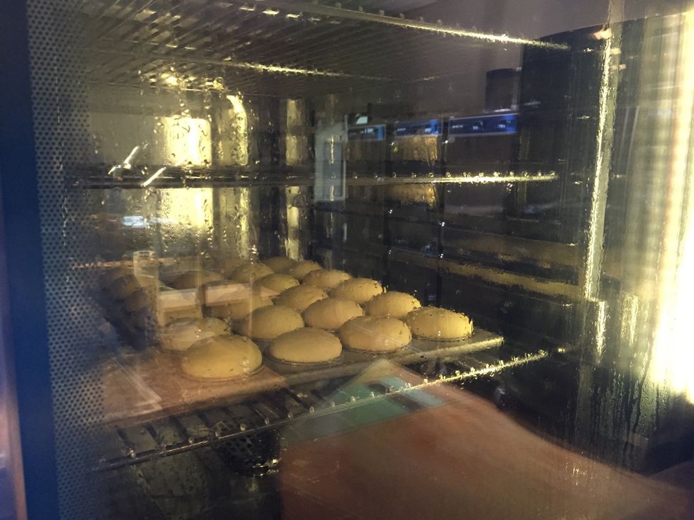 Dinner rolls proofed