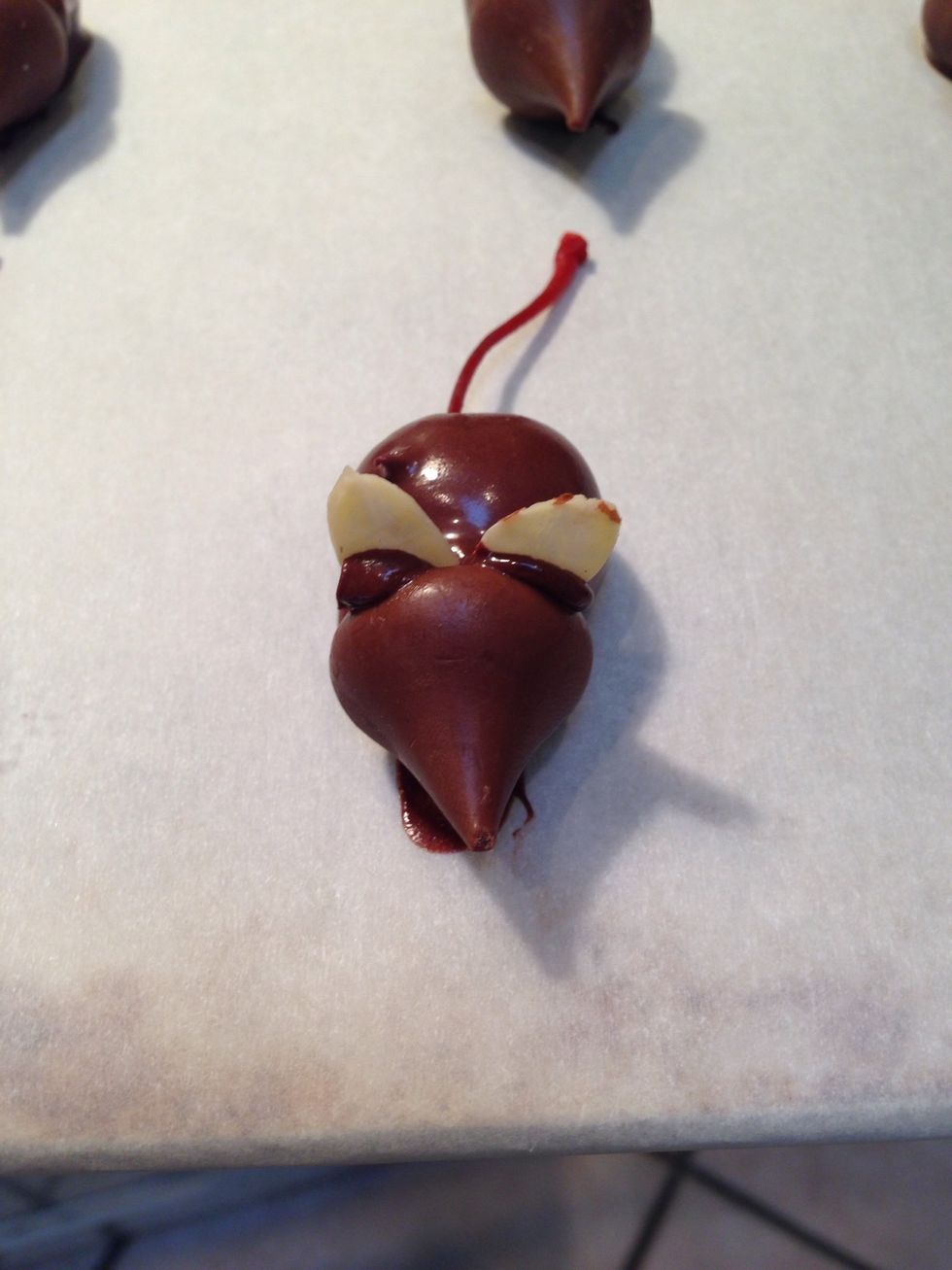 Dip one end of the sliced almond in the melted chocolate and attach behind the kiss for ears.