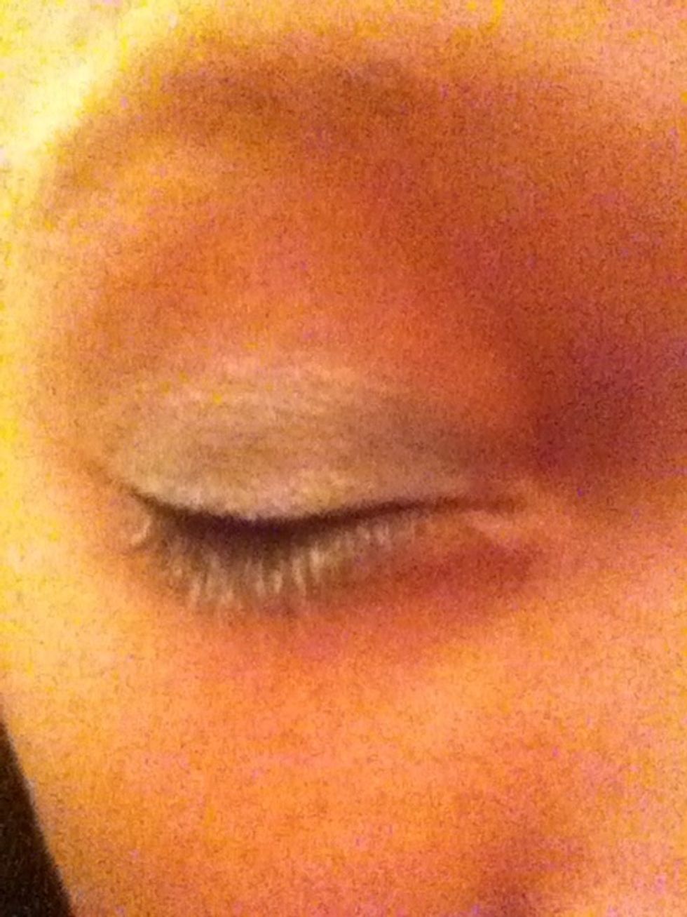 Dip the edge of the angled cut brush into the water to make it slightly wet and put it in the black eyeshadow, this makes a sort of eyeliner that is more subtle so blends in more. Apply to lash line.