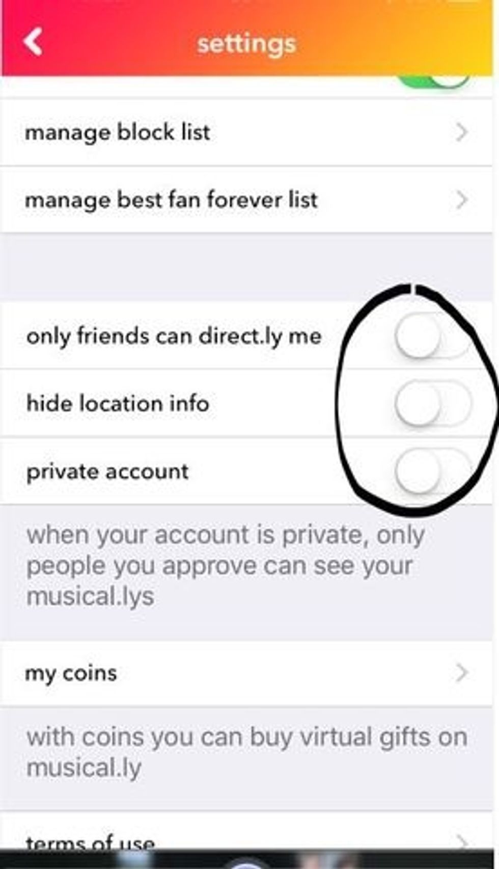 Directly simply is a way to chat to others on musical.ly.  Turn your privacy settings on for diectly otherwise anyone can message you, even if you have a private account.