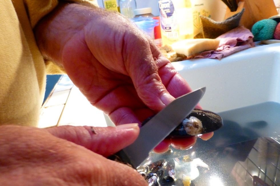 Discard mussels and remove broken shells on the mussels.