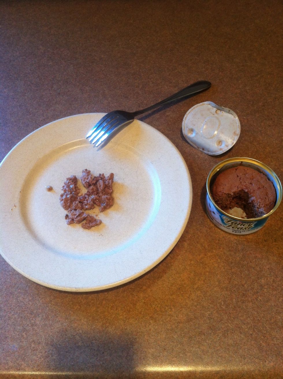 Dish out about 1/4 can of wet food on a small plate. This will be used to distract him
