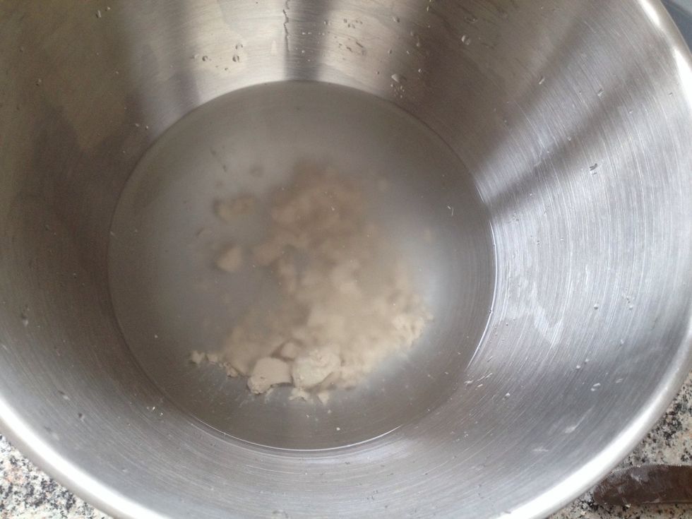 Dissolve the yeast in lukewarm water