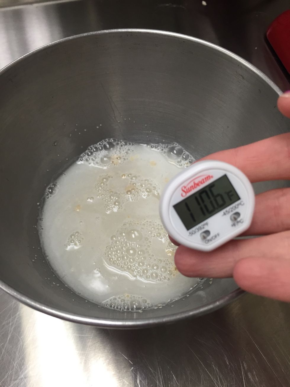 dissolve yeast in warm water until creamy for about 10 minutes