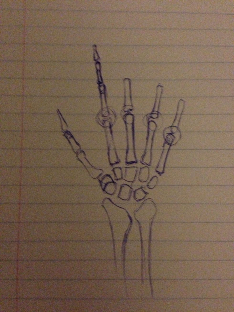 Distinguish between the metacarpals and the falanges
